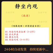 2024冥想疗愈内观静坐入门专注力觉知力训练呼吸吐纳视频教程