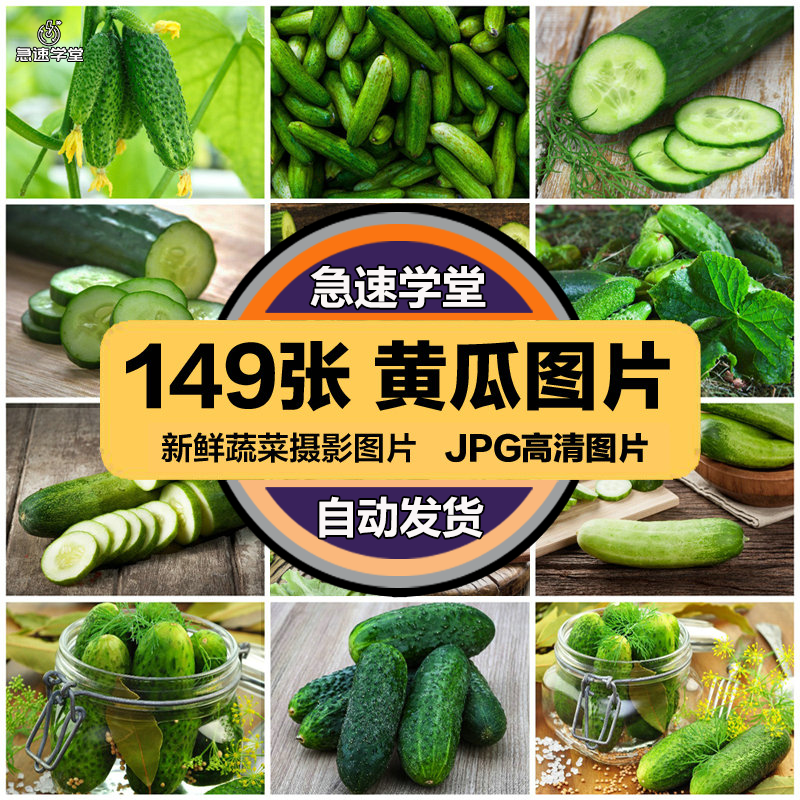 高清美食菜品菜谱JPG图片黄瓜青瓜图库美工设计喷绘打印合成素材