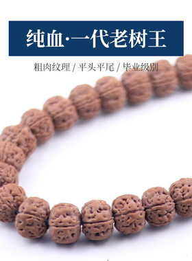纯血一代老树王手持32颗