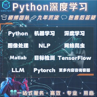 算法指导 深度学习python图像识别处理机器学习接单代做代编程c