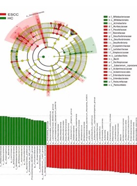 Knime神经网络聚类回归可视化指导