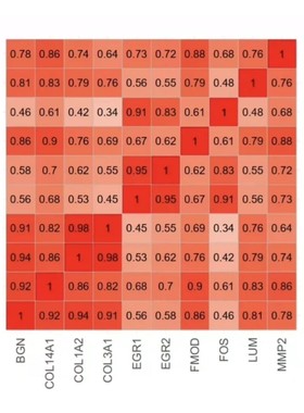 addis软件GeMTC网状分析软件贝叶斯meta分析R语言jre远程安装服务