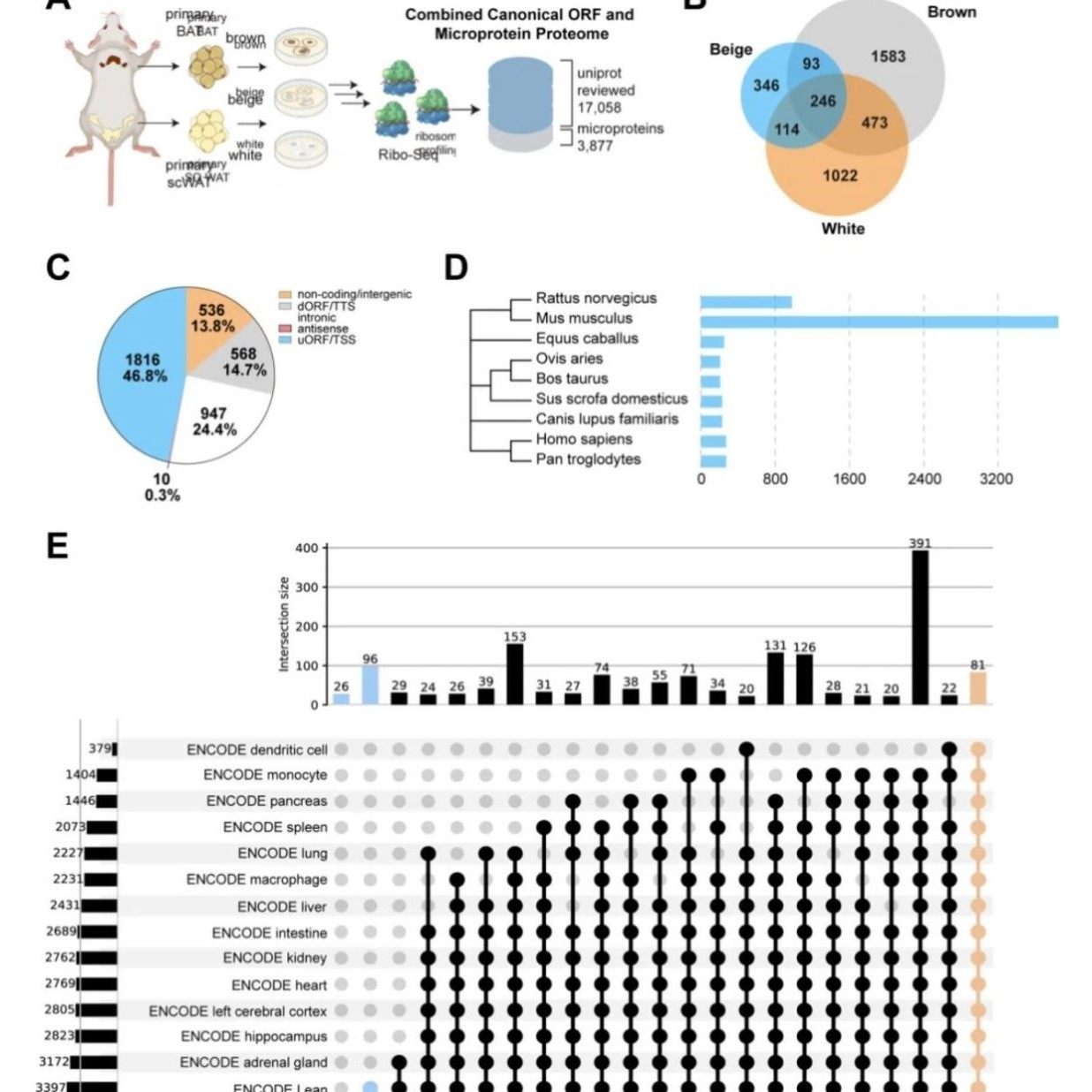 分子对接Gromacs模拟DFT计算Pymol网络药