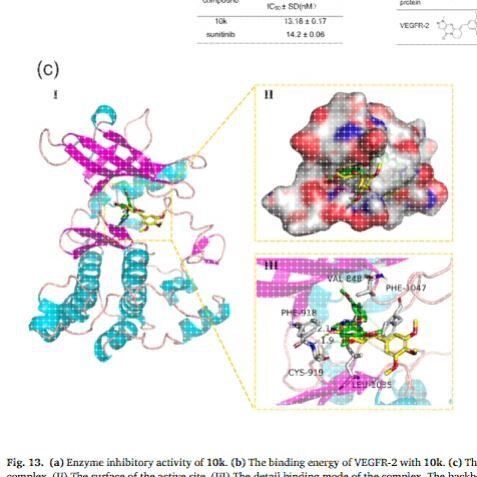 分子对接 共价对接 批量虚拟筛选 蛋白与蛋白 DNA/RNA-蛋白 柔性