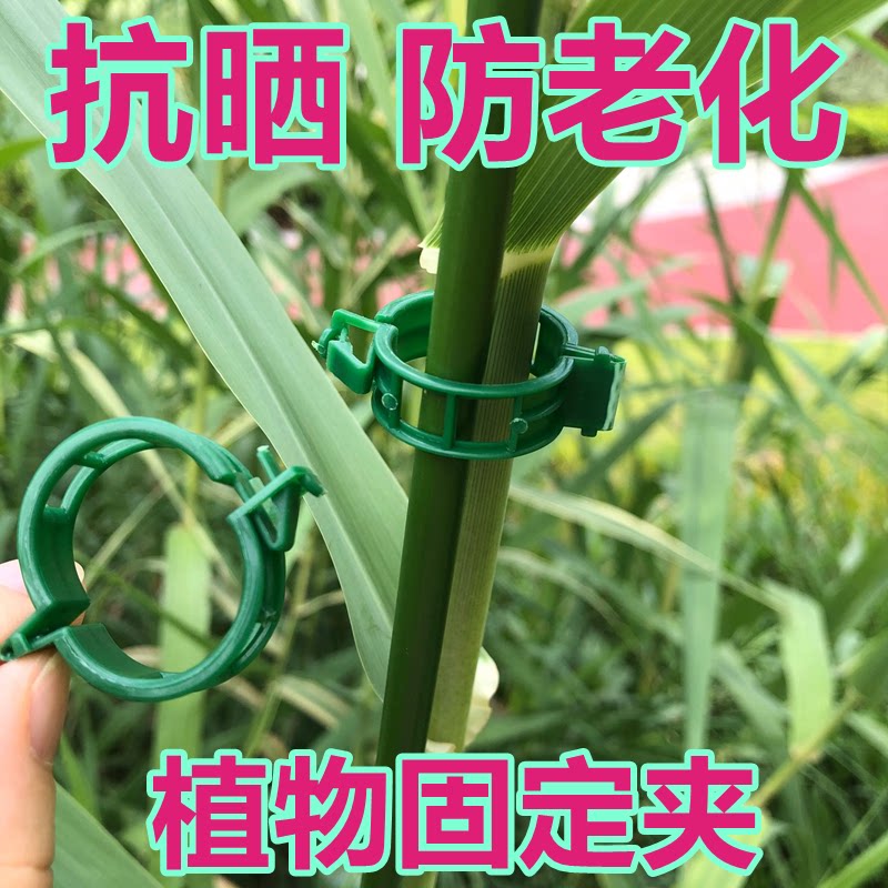 植物固定卡扣蝴蝶兰夹子蔬菜瓜果花卉蔓藤植物夹南瓜藤捆绑扎带环