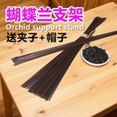 蝴蝶兰支架兰花植物固定杆支撑杆扶直铁丝支架爬藤植物固定夹子