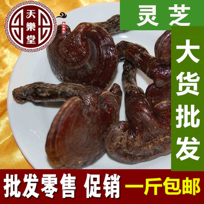 灵芝个长白山半赤芝500克一斤