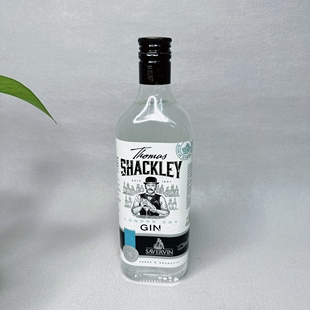 特价 摩尔多瓦进口杜松子酒500ml优雅而精致45%vol 酒水
