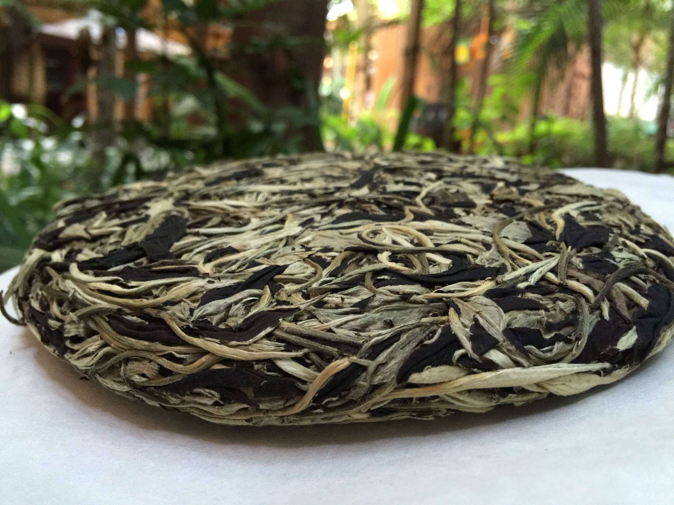 云南西双版纳普洱茶古六大茶山基诺山普洱茶白毫芽尖月光白357克