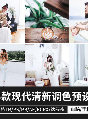 现代风格清新lr预设摄影后期户外人像lightroom/ps/调色修图滤镜