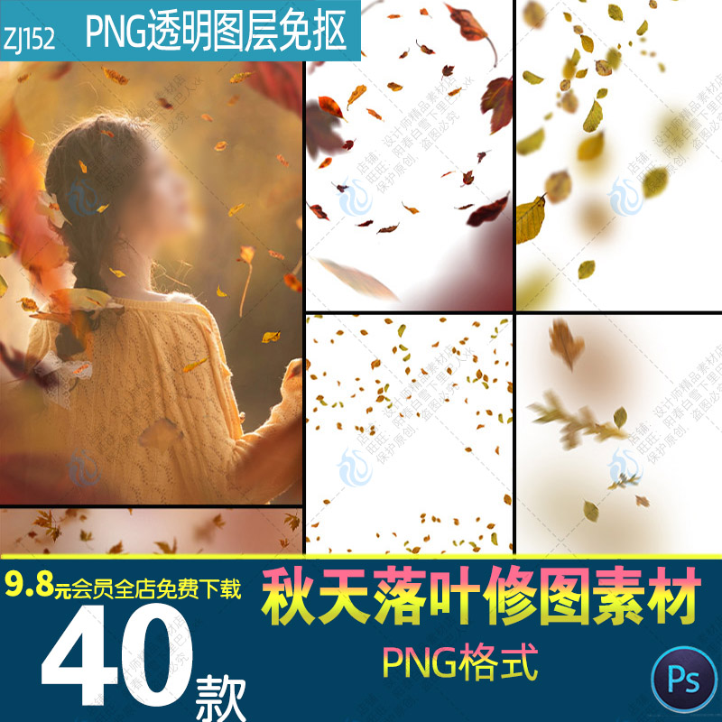 秋天红色枫叶落叶树叶飘落PNG免抠图片秋季枯叶装饰PS设计元素材