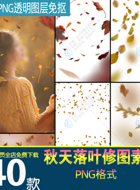 秋天红色枫叶落叶树叶飘落PNG免抠图片秋季枯叶装饰PS设计元素材