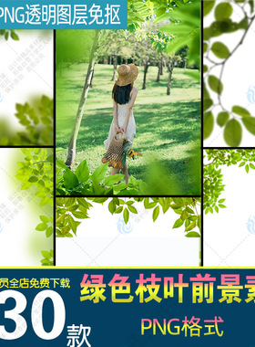 春夏季绿色树枝叶条虚化前景装饰后期合成PS设计png免扣图片素材