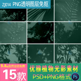 植物树枝光影阴影子斑驳光斑碎影元素PNG免扣背景图片PS设计素材