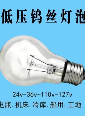 12v24V36V48V60v110v交流直流低压白炽灯泡普通老式钨丝灯E27螺口