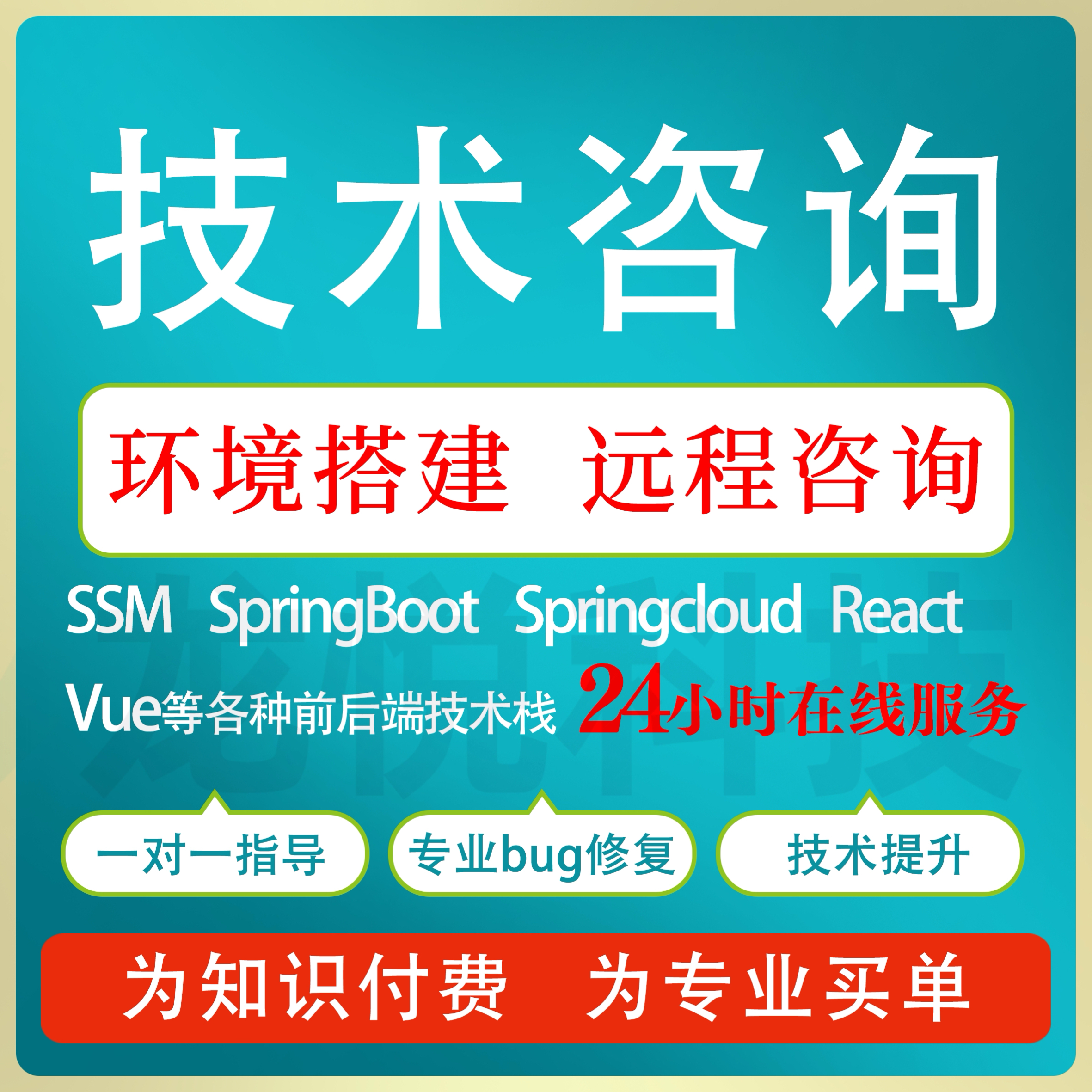 前端问题解决远程代码调试bug修复技术指导定制开发vue问题解决 商务/设计服务 其它设计服务 原图主图