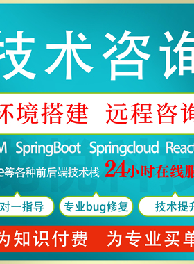 前端问题解决远程代码调试bug修复技术指导定制开发vue问题解决