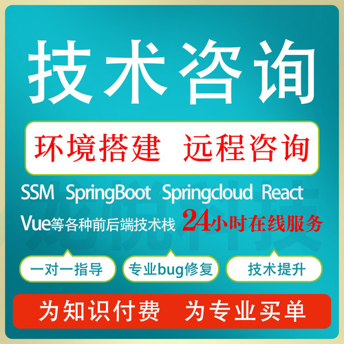 前端问题解决远程代码调试bug修复技术指导定制开发vue问题解决