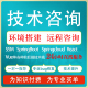 前端问题解决远程代码 调试bug修复技术指导定制开发vue问题解决