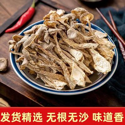 鹿茸菇菌食材煲汤土特产宁德干货