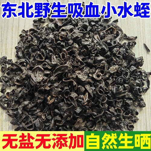 东北野生水蛭小黑条中药材干货蚂蝗干清水无添加吸血水蛭医蛭精选