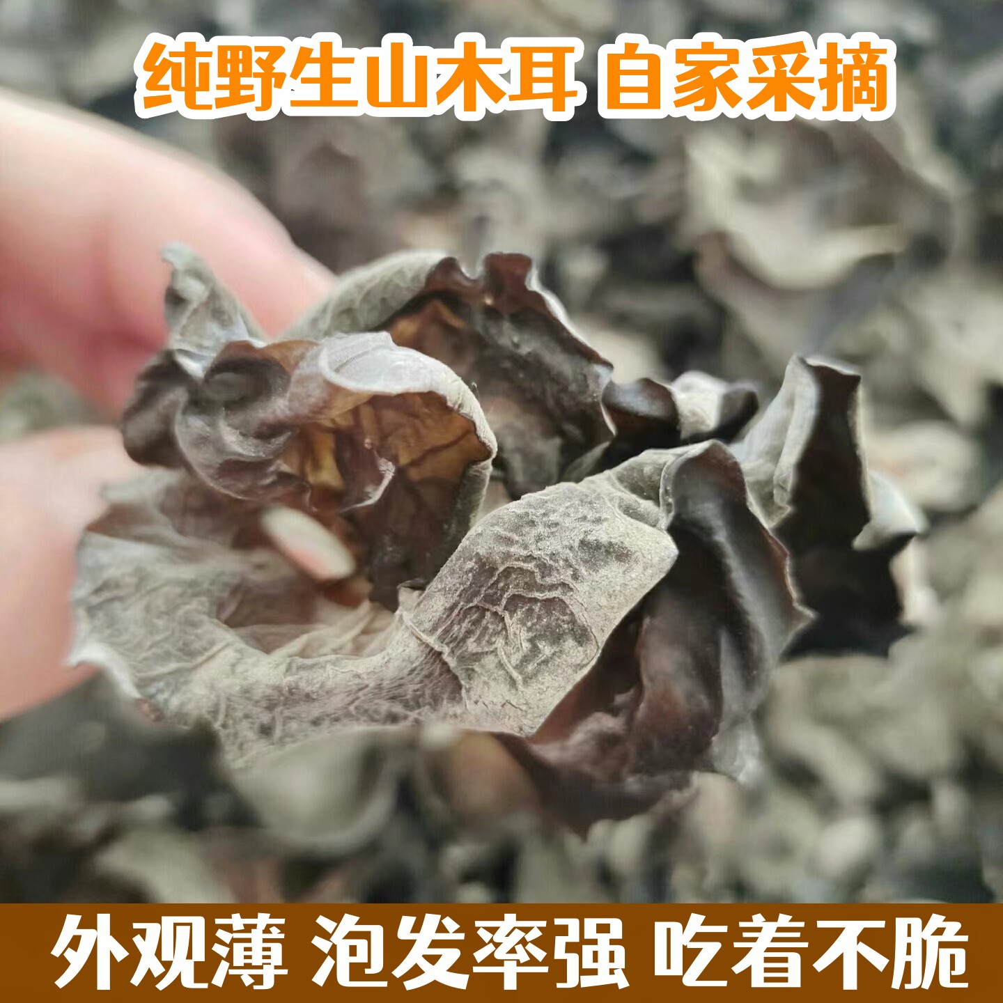 东北纯野生山木耳长白山特产秋木耳软糯人工采摘自然晾晒500g包