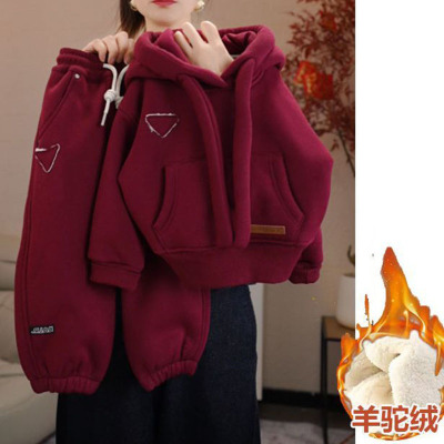 男童秋冬长袖加绒带帽卫衣套装2026新款中大童保暖休闲百搭两件套