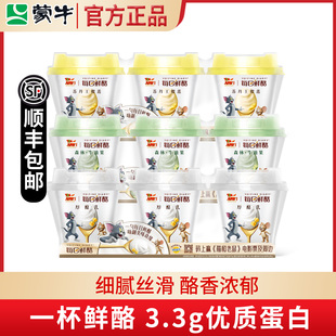 蒙牛冠益乳每日鲜酪100g*12杯牛油果风味发酵榴莲风味营养酸奶