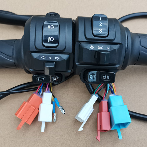 祥龙电动车组合开关总成