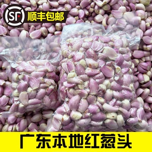 广东红葱头手工去皮剥好干葱头新鲜餐饮酒店香料头食用熬葱油包邮
