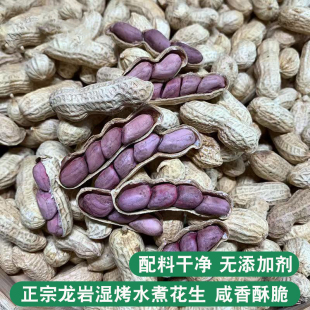 2026新货龙岩湿烤花生正宗福建特产紫衣带壳水煮花生白晒红衣花生