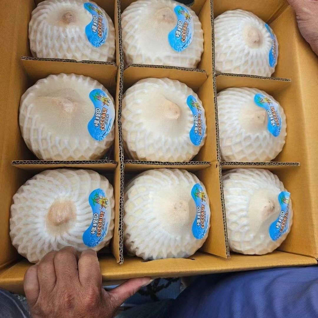 超大果1100g】泰国椰青9个装 进口新鲜椰子奶香椰香水椰孕妇水果