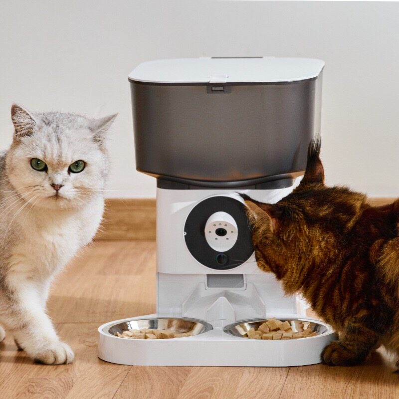 小兽科技猫咪自动喂食器定时定量智能投食器宠物猫粮食盆饮水一体