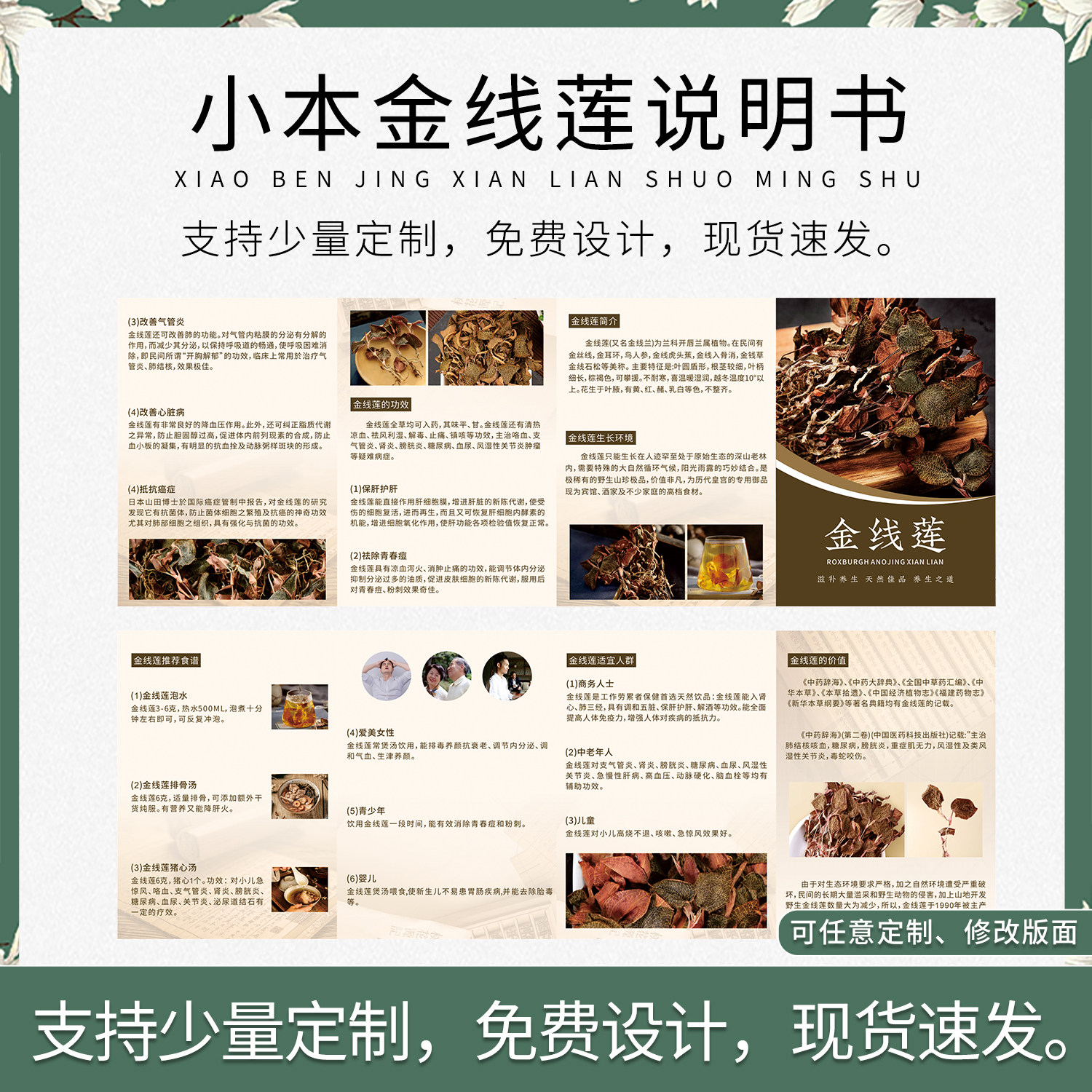 现货通用折页金线莲说明书宣传册宣传单/海报/说明书