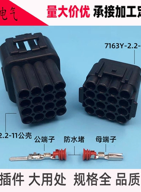 DJ7163Y-2.2-11-21公母车用防水连接器大灯插头 16P接插件 带端子