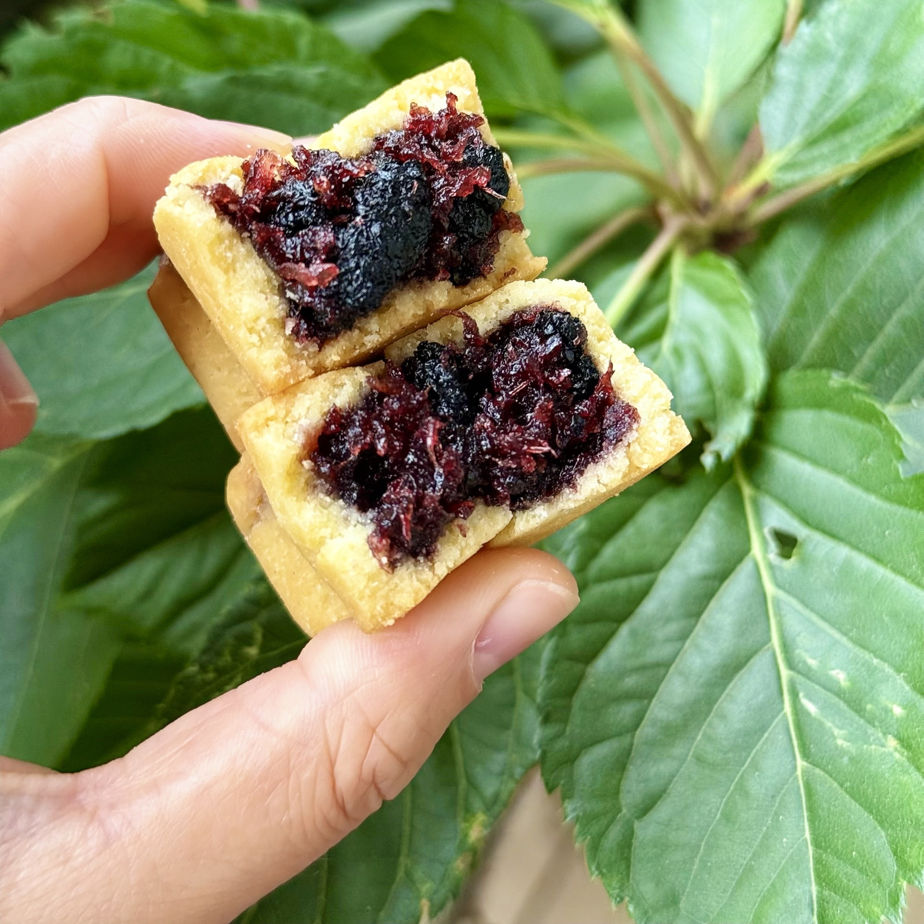 维斯商杨梅桑葚酥黄油酥皮下午茶茶点甜点