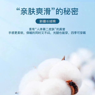 日本ぜいた棉质护腰粘扣款 专用收腹护腰带护肚 产后保暖托腹带女式