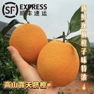 (顺丰包邮)四川攀枝花脐橙新鲜水果现摘现发礼盒当季大橙子甜