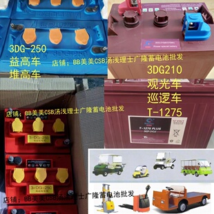 观光车蓄电池3DG210 6V180AH益高车3DG-250 3D250 6V250AH 3DG230