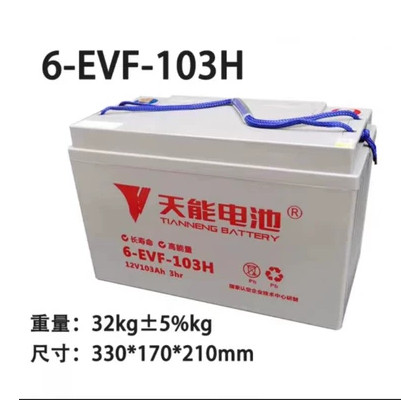 天能蓄电池6-EVF-103H