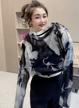 新中式泼墨晕染国风网纱长袖T恤