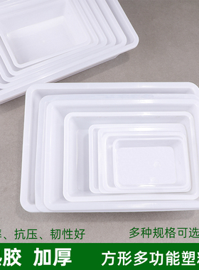 白色方盘长方形塑料盒子选菜食品盒冰盒冰盘收纳盒零件盒电子元件