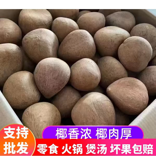 印度海椰皇椰子皇海椰王干椰王椰子鸡汤海底椰火锅底料椰子鸡汤料
