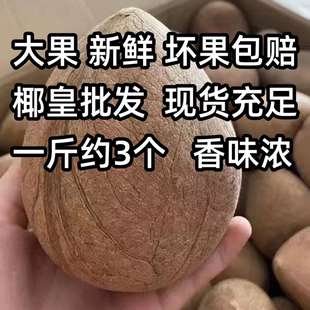 印度大椰皇海耶皇新鲜椰子皇干吃海底椰炖鸡煲汤料切片椰子500克