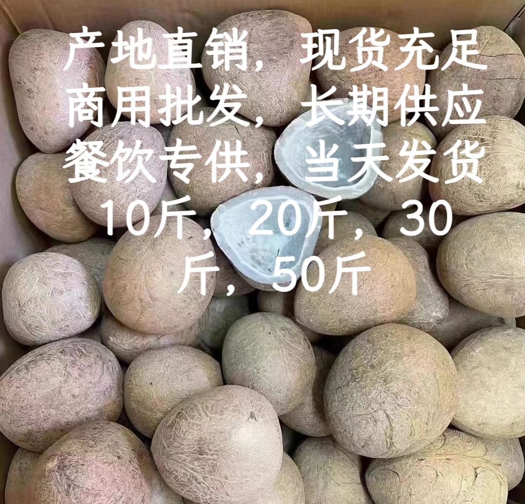 印度椰皇海椰皇椰子干无汁椰子商用批发椰子鸡煲汤火锅食材可切半