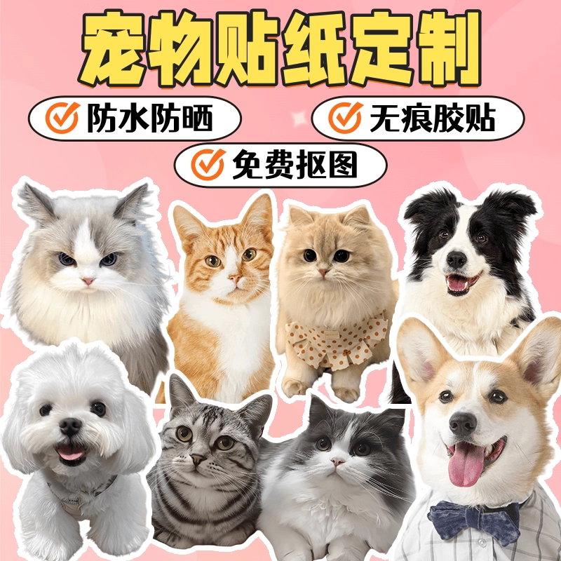 宠物照片防水贴纸来图定制狗狗大头贴手账猫咪diy行李箱异形贴画