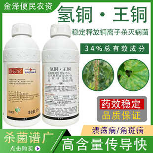 龙灯意莎农 34%氢铜王铜 柑橘树黄瓜溃疡病角斑病 高效农药杀菌剂