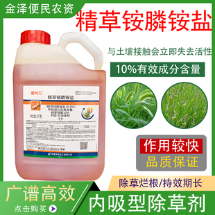 天邦雷鸣刀10%精草铵膦铵盐草胺磷草安磷果园牛筋草小飞蓬除草剂