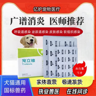 汉维宠立维头孢氨苄片宠物狗猫感冒流涕皮肤炎症尿路感染外伤消炎