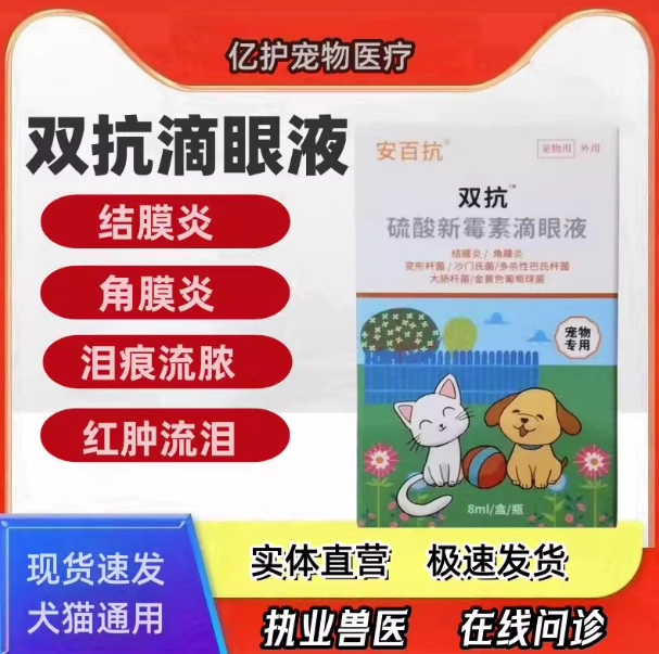 双抗滴眼液抗犬猫消炎眼部护理